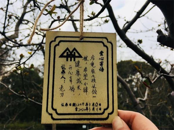 鹤寿千岁，松柏无疆，暮龄尚可翅开张是指什么生肖，全面解答解释落实_qx43.64.05